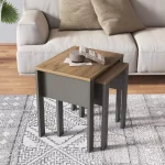 set-stocica-prs20ts-2-jpg