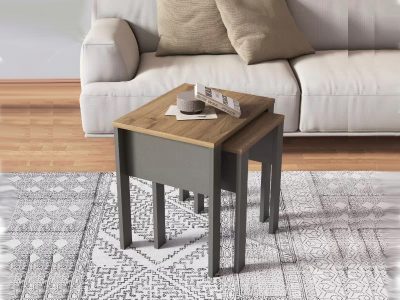 set-stocica-prs20ts-2-jpg
