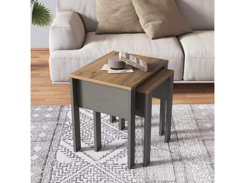 set-stocica-prs20ts-2-jpg