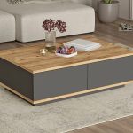 klub sto future antracit bor 1a