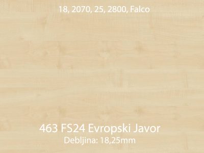 463 fs24 evropski javor jpg 1