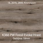 K366 pw fossil evoke hrast jpg