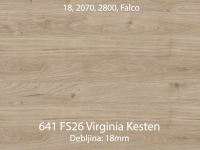 a 641 fs26 virginia kesten jpg